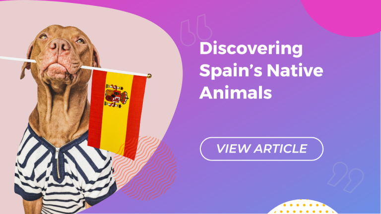 Discovering Spain’s Native Animals Conversa Spanish Institute